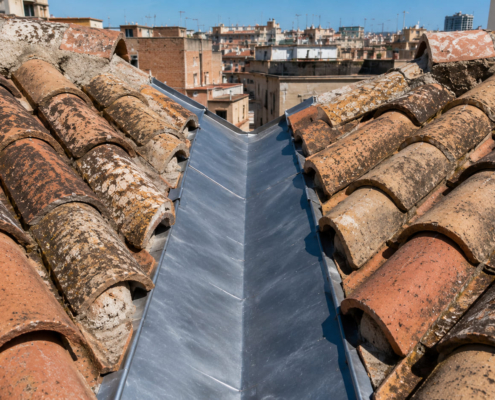 limahoyas-del-tejado-canal-zinc-barcelona
